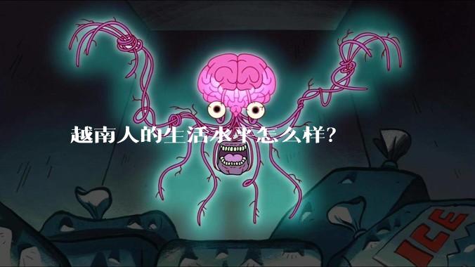 越南人的生活水平怎么样?