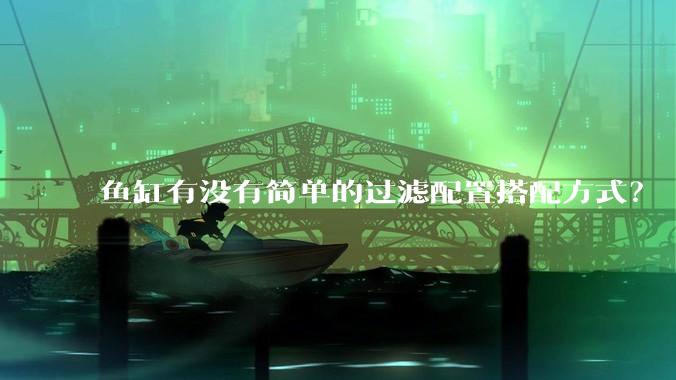 鱼缸有没有简单的过滤配置搭配方式?