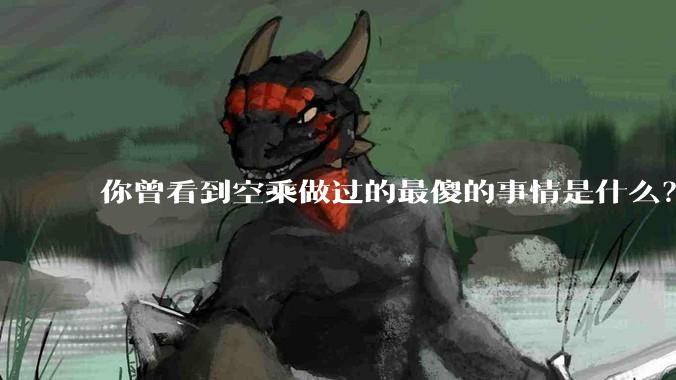 你曾看到空乘做过的最傻的事情是什么?