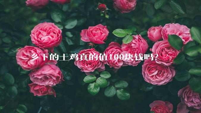 乡下的土鸡真的值100块钱吗?