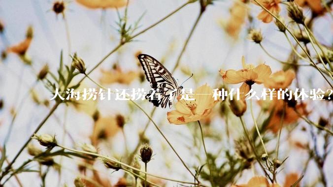 大海捞针还捞着了是一种什么样的体验?