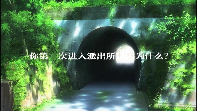 你第一次进入派出所是因为什么?