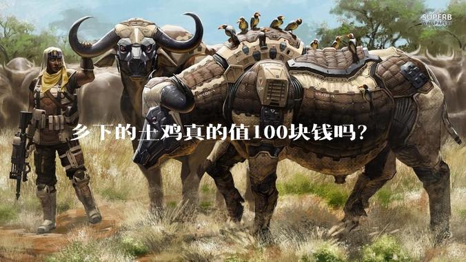 乡下的土鸡真的值100块钱吗?