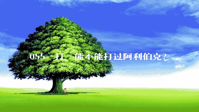 055一打一能不能打过阿利伯克?