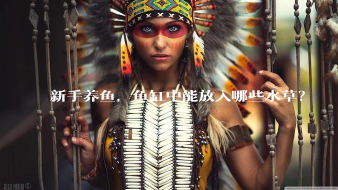 新手养鱼,鱼缸中能放入哪些水草?