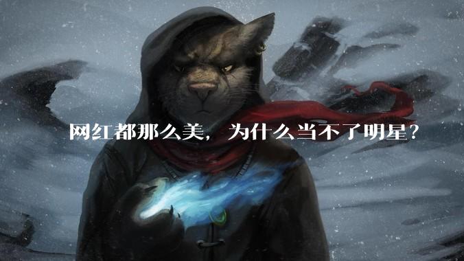 网红都那么美,为什么当不了明星?