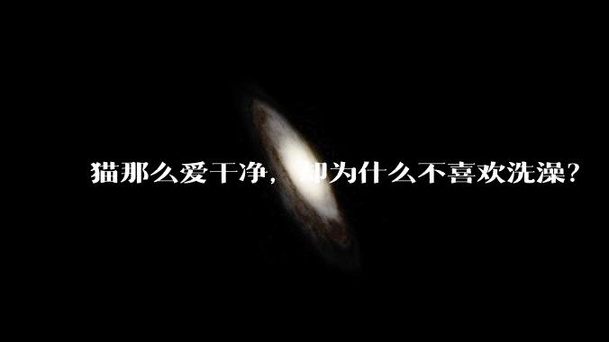 猫那么爱干净,却为什么不喜欢洗澡?