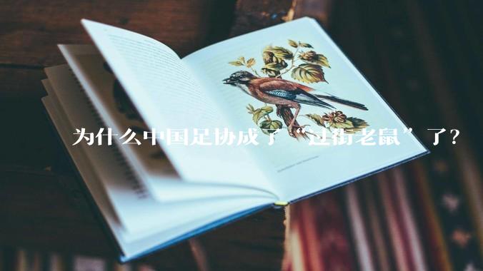 为什么中国足协成了“过街老鼠”了?