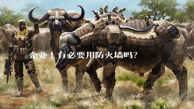 企业上有必要用防火墙吗?