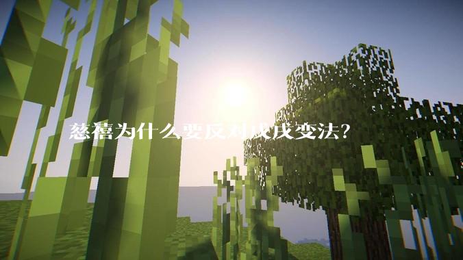 慈禧为什么要反对戊戌变法?
