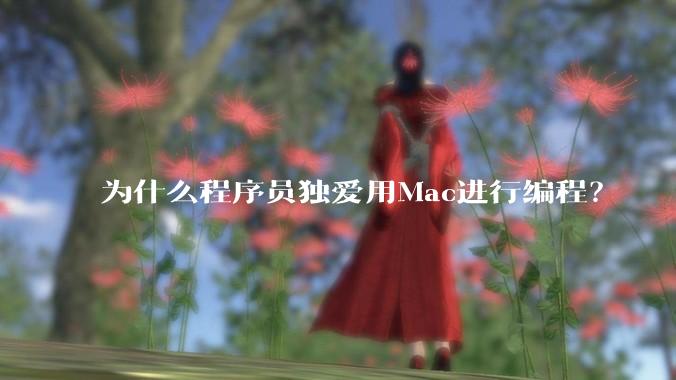 为什么程序员独爱用Mac进行编程?