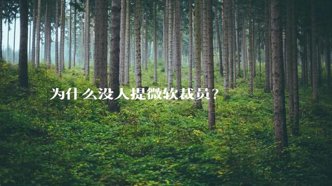为什么没人提微软裁员?