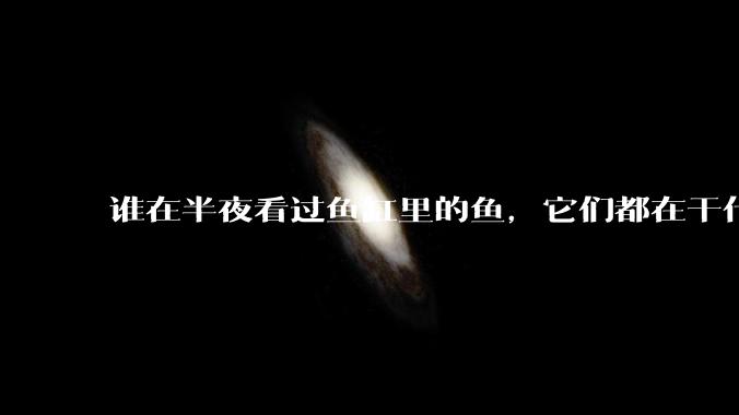 谁在半夜看过鱼缸里的鱼,它们都在干什么?