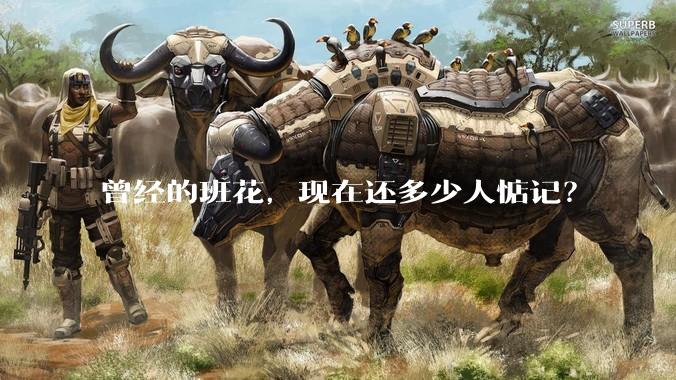 曾经的班花,现在还多少人惦记?