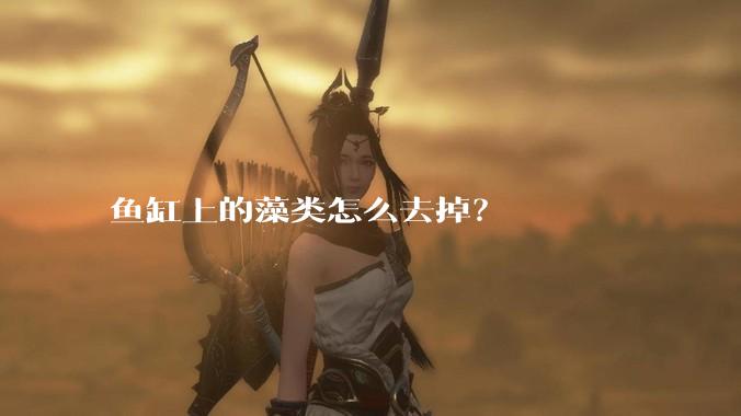 鱼缸上的藻类怎么去掉?