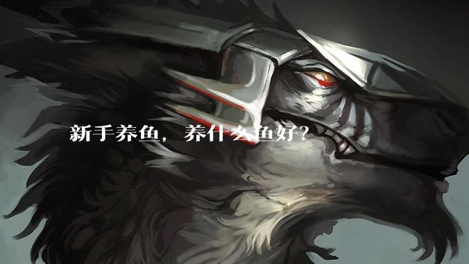 新手养鱼,养什么鱼好?