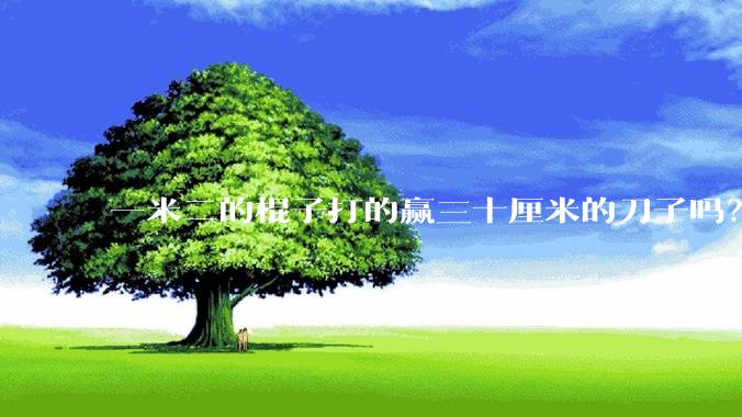 一米二的棍子打的赢三十厘米的刀子吗?