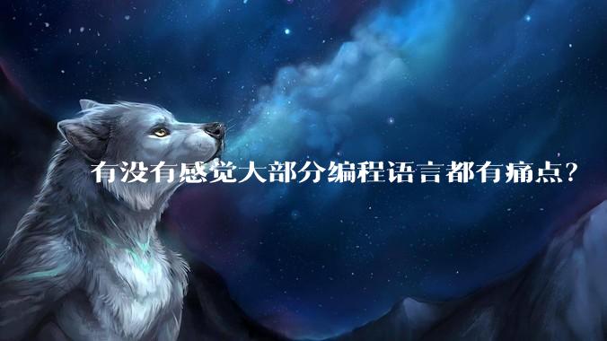 有没有感觉大部分编程语言都有痛点?