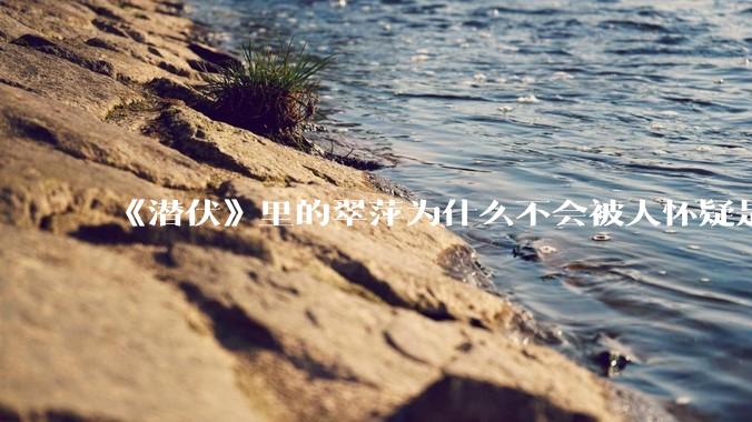 《潜伏》里的翠萍为什么不会被人怀疑是卧底?
