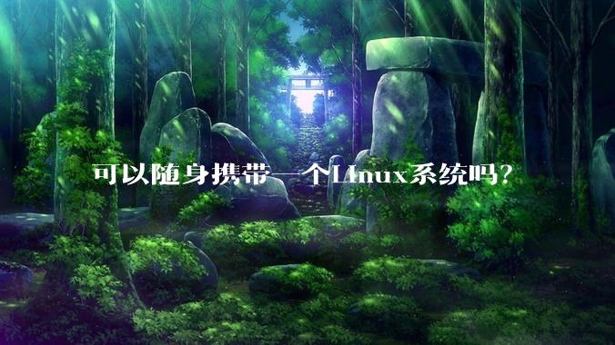 可以随身携带一个Linux系统吗?