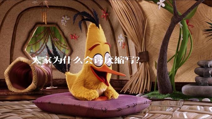 大家为什么会讨厌缩写?