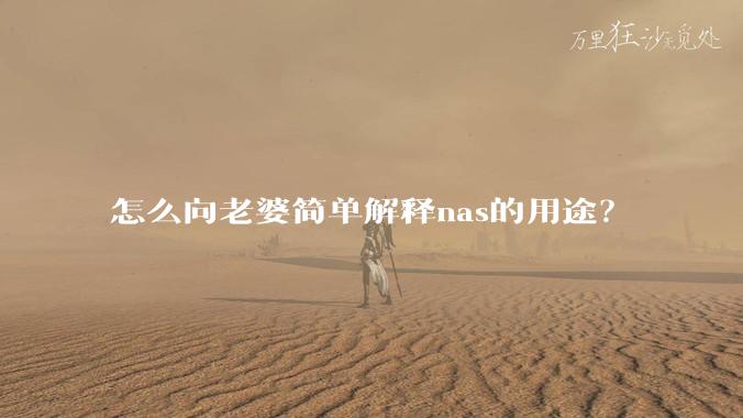 怎么向老婆简单解释nas的用途?