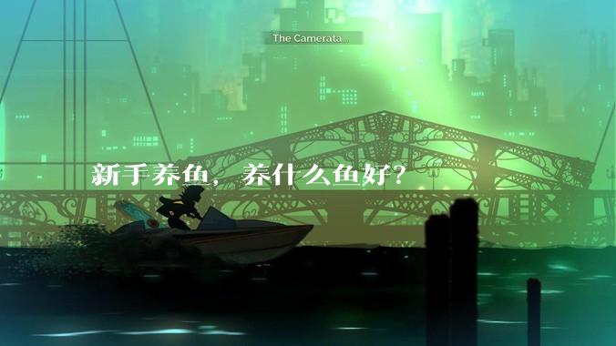 新手养鱼,养什么鱼好?