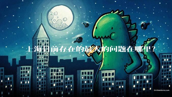 上海目前存在的最大的问题在哪里?