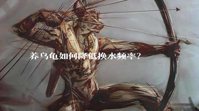 养乌龟如何降低换水频率?