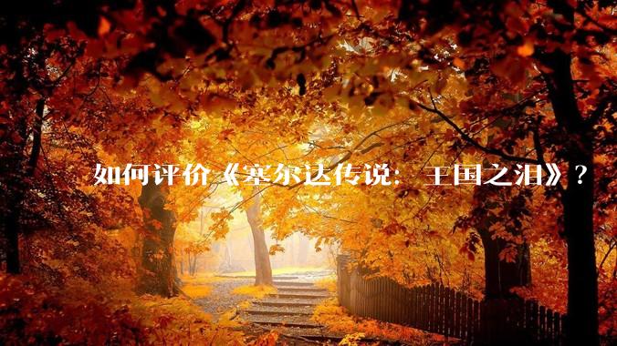 如何评价《塞尔达传说:王国之泪》?