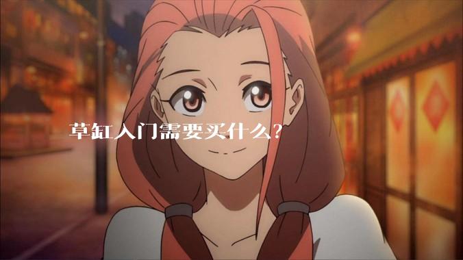 草缸入门需要买什么?