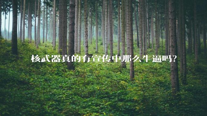核武器真的有宣传中那么牛逼吗?