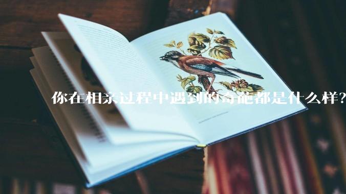 你在相亲过程中遇到的奇葩都是什么样?