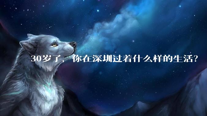 30岁了,你在深圳过着什么样的生活?