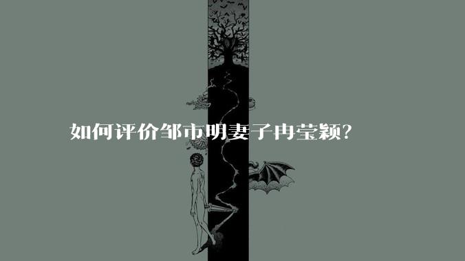 如何评价邹市明妻子冉莹颖?