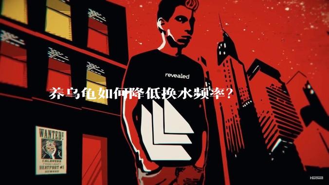 养乌龟如何降低换水频率?